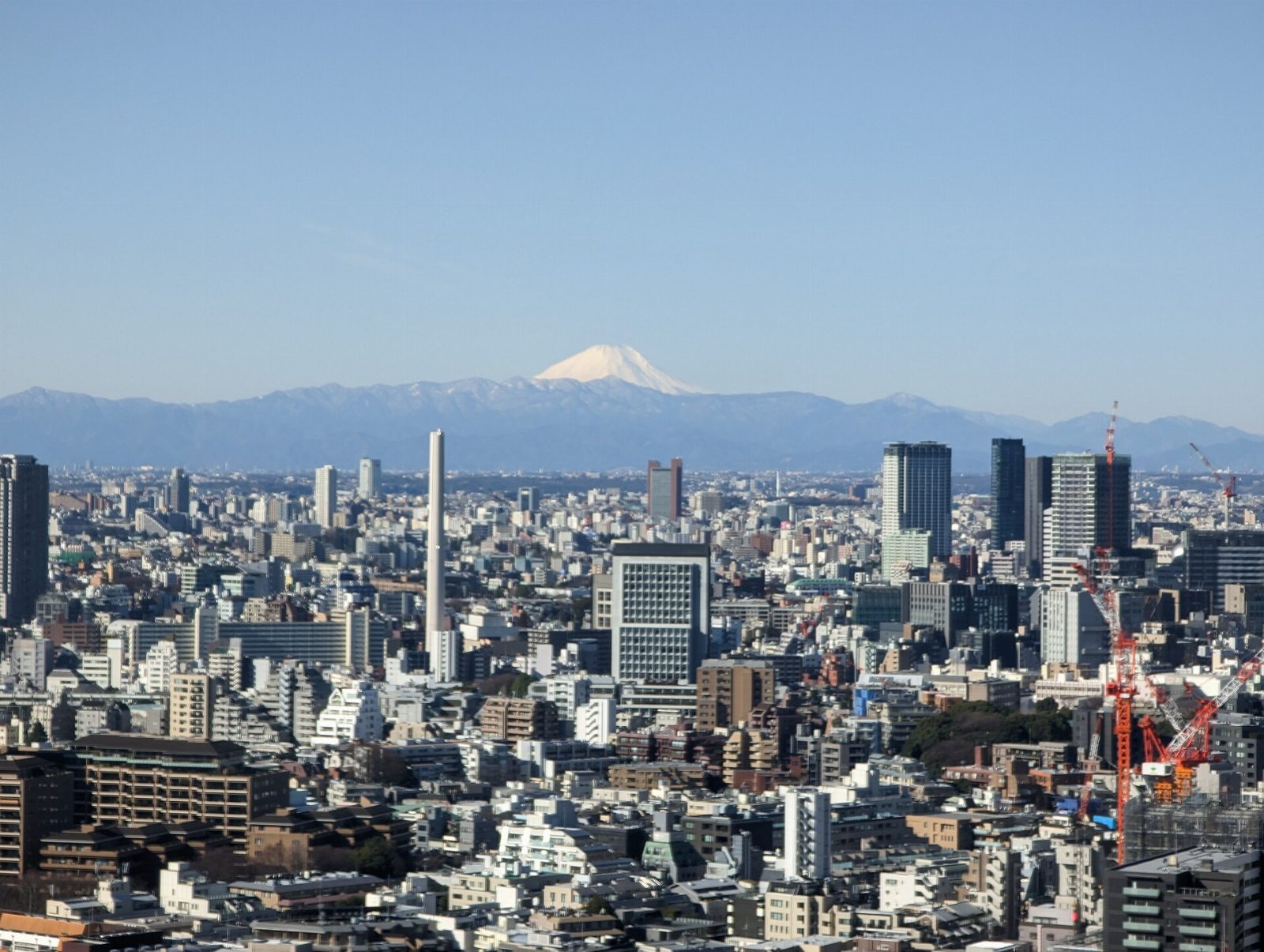 Itinerary Tokyo 5 Hari: Hemat dan Halal-Friendly